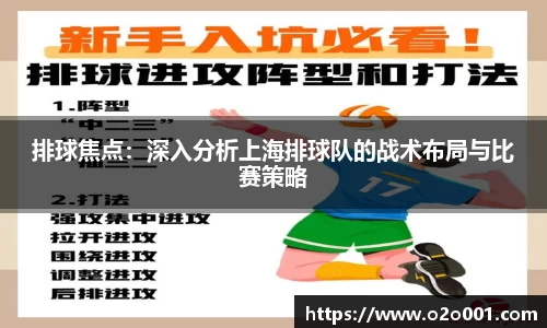 排球焦点：深入分析上海排球队的战术布局与比赛策略